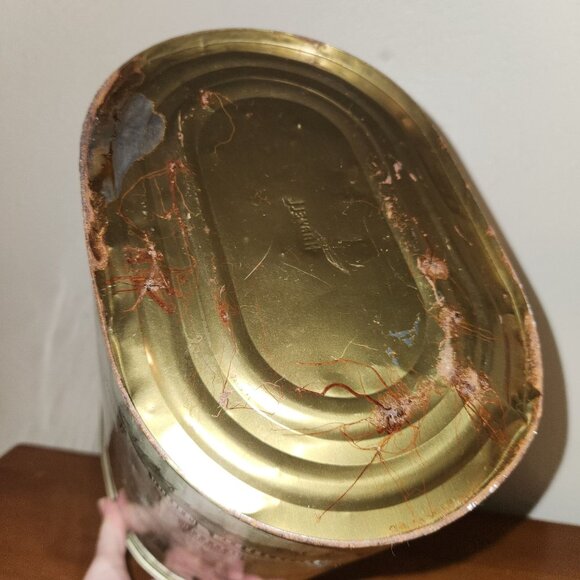 Davy Crockett Vintage 1956 Metal Trash Can 11.5" H x 11" L x 7" W - Picture 9 of 12